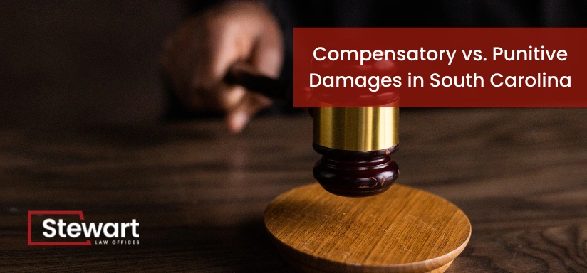 Compensatory vs. Punitive Damages in South Carolina