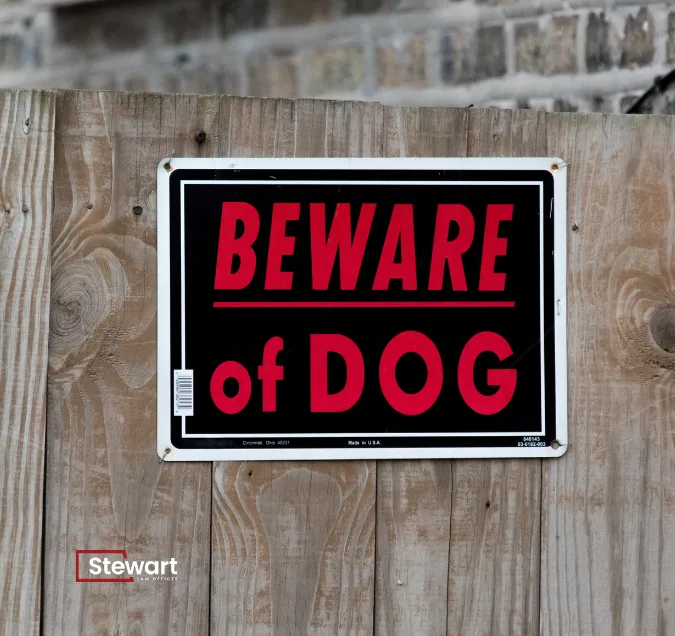 South Carolina Dog Bite Attorney